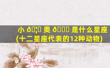 小 🦆 奥 🐞 是什么星座(十二星座代表的12种动物)